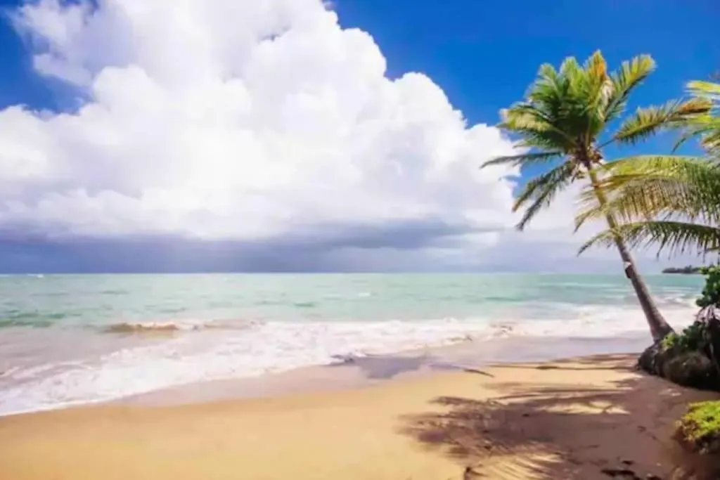 Fall In Love To Endless Summer. Charm And Private Apartment Loiza 0*,  Puerto Rico
